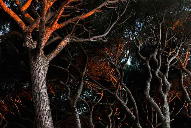 CC-BY https://www.flickr.com/photos/pasotraspaso/