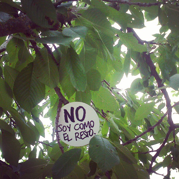 A brief thought about consensus and divergence